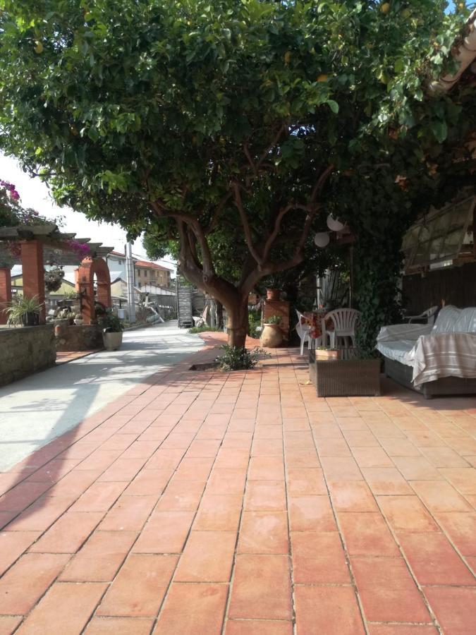Ca' Federica Villa Vallecrosia Exteriör bild